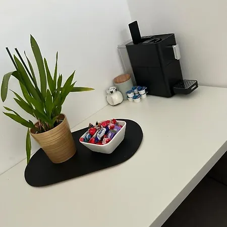 Studio-apartment In Zentraler Lage Apartament *