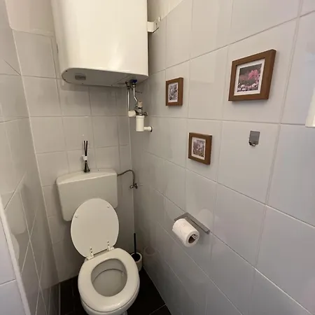 Studio-apartment In Zentraler Lage Štýrský Hradec