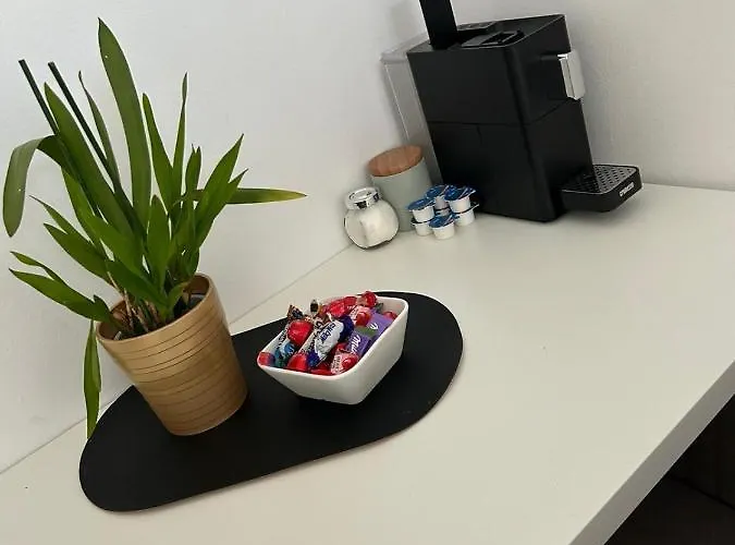 Studio-apartment In Zentraler Lage Apartman *