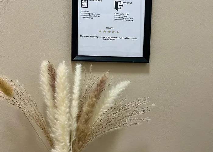 Studio-apartment In Zentraler Lage Appartement